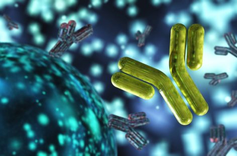 Studiu: Capacitatea bacteriofagilor de a ucide bateriile rezistente la medicamente este mult diminuată în spitale