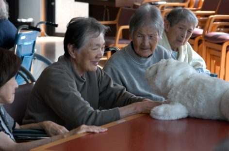 Roboţii preiau tot mai multe sarcini ale asistenţilor medicali în Japonia, pe fondul crizei de personal şi îmbătrânirii populaţiei