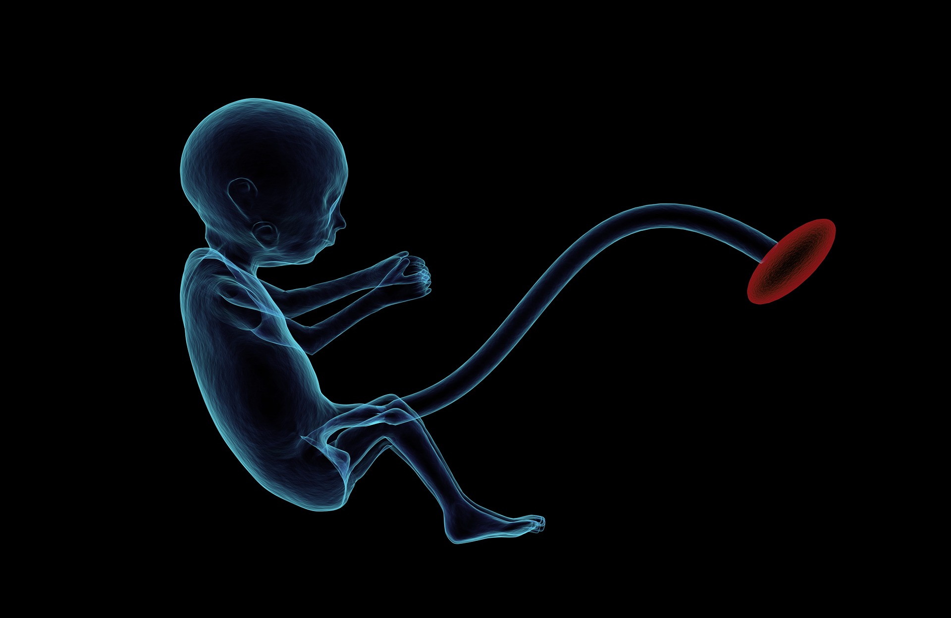 Dezvoltarea microbiotei intestinale începe înainte de naştere, arată un studiu realizat în SUA