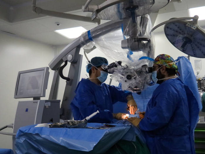 Abordul endoscopic al tumorilor hipofizare