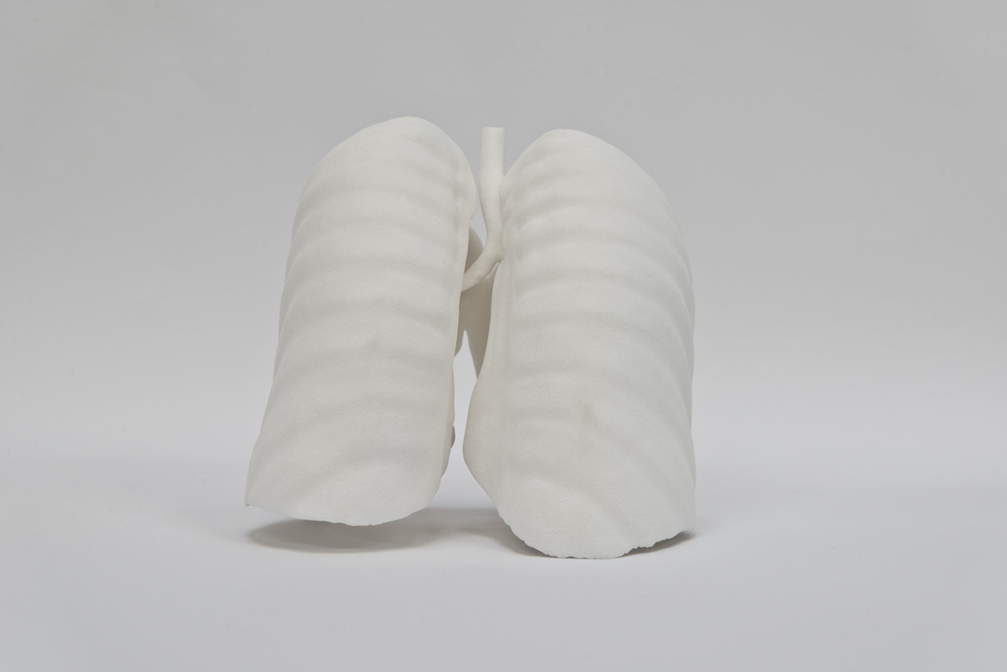 O tehnică inovatoare de imprimare 3D a ţesuturilor, care permite crearea reţelelor vasculare, a fost dezvoltată de ingineri americani
