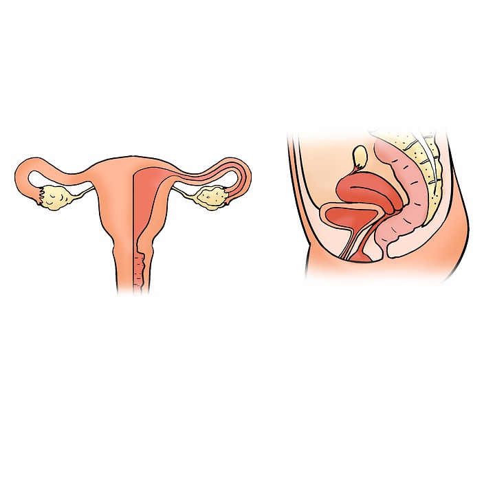Un medicament pentru tratarea fibromului uterin a obţinut rezultate promiţătoare în studiile clinice