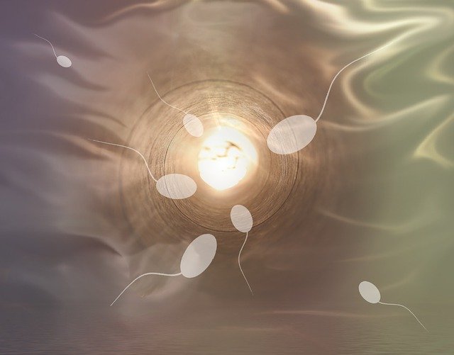 În jur de 50% dintre cuplurile infertile apelează la fertilizare in vitro sau iau în calcul această variantă