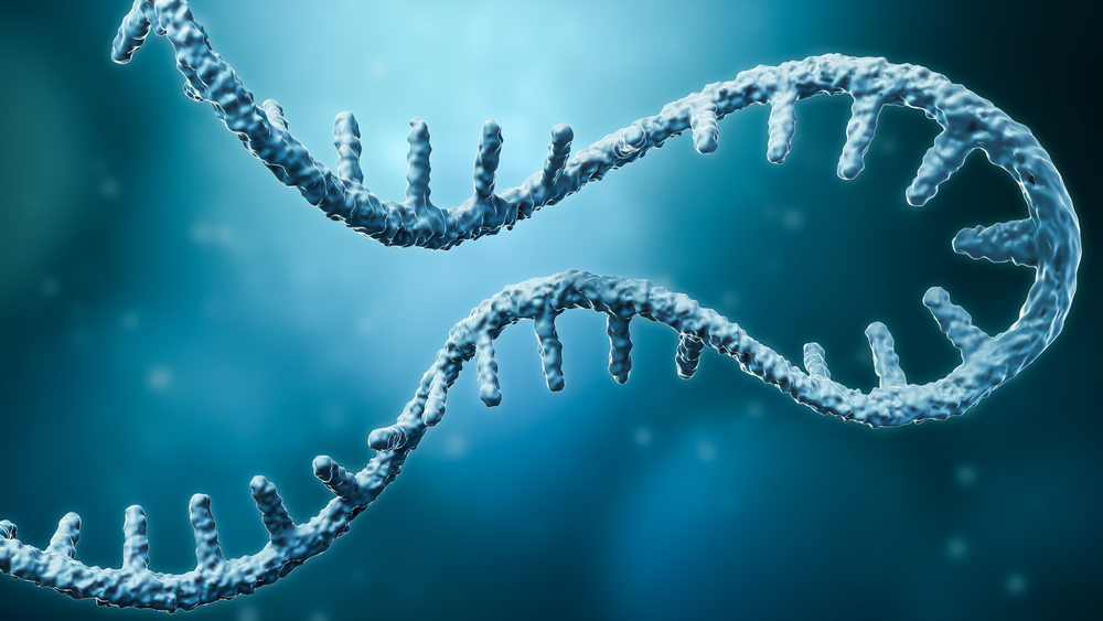 Ţinte potenţiale pentru tratarea ulcerelor venoase, identificate de cercetători