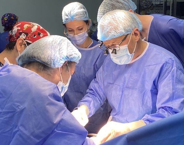 Diagnosticul şi tratamentul integrat al afecţiunilor hepatice
