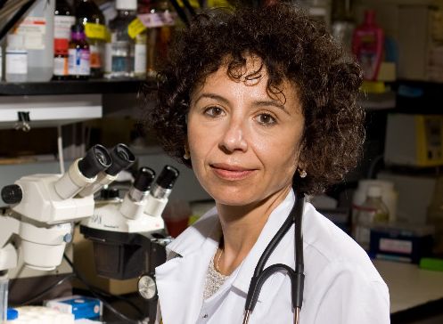 [VIDEO] Medic român, ales preşedintele Asociaţiei Americane de Diabet. Află care sunt cele mai mari provocări pentru prof. dr. Rodica Pop Buşui