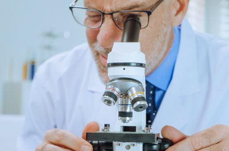 Muşchi artificial pentru medicina regenerativă, dezvoltat de cercetători germani