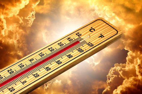 OMS: Schimbările climatice vor cauza aproximativ 250.000 de decese suplimentare pe an