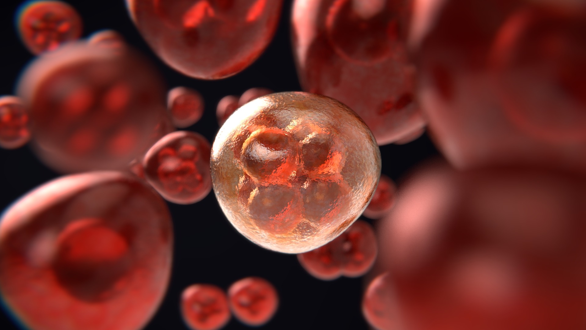 Vizarea unei proteine cheie din celulele canceroase ar putea opri răspândirea cancerului