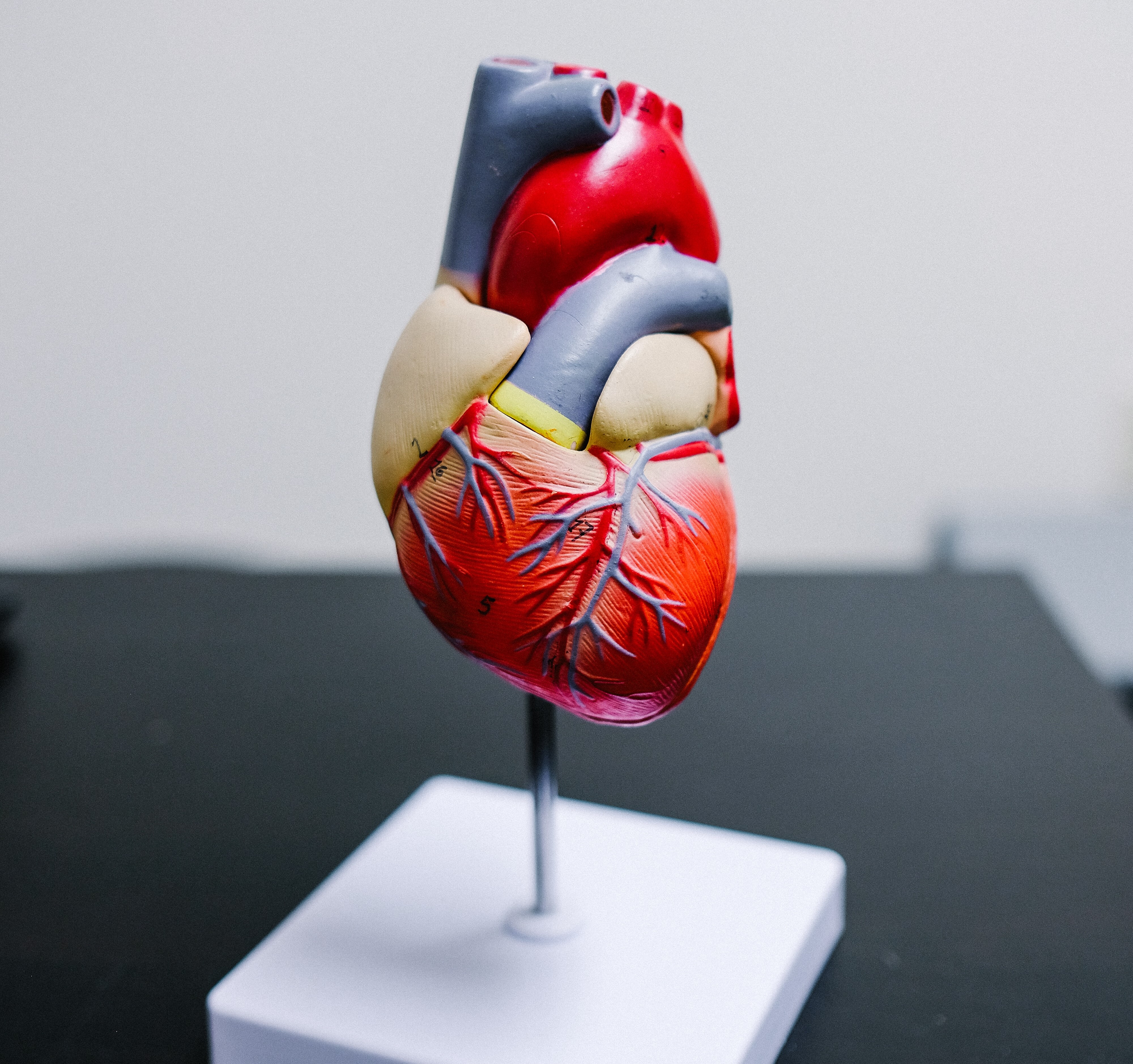 Cele mai frecvente simptome pentru şase boli cardiovasculare revizuite de Asociaţia Americană a Inimii