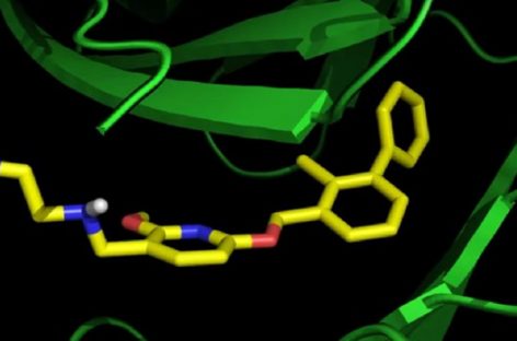 Imunoterapia, mai accesibilă pacienţilor cu cancer datorită unei molecule sintetice nou dezvoltată