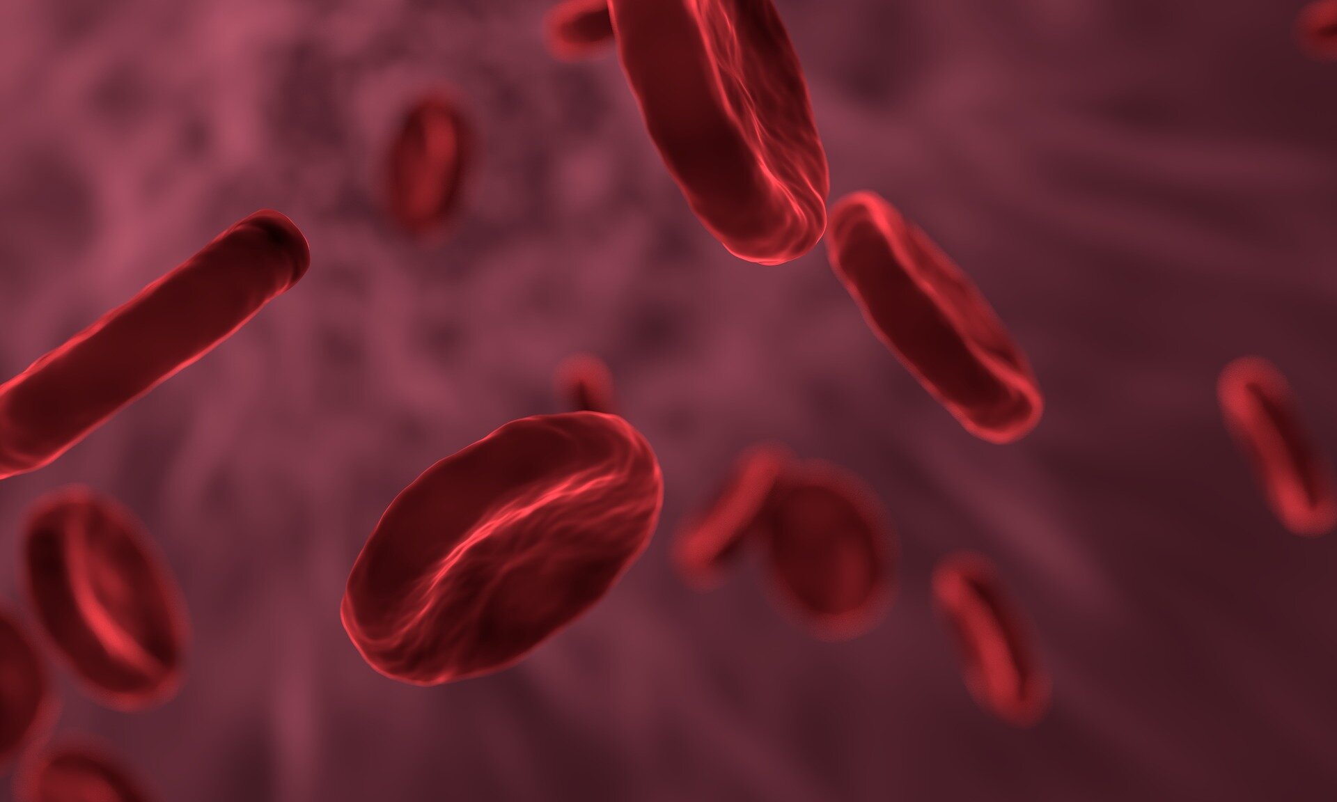 Strategie pentru un potenţial vaccin terapeutic pentru cancerele de sânge cu evoluţie lentă