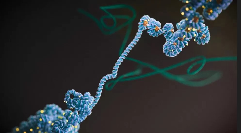 Epigenetica ar putea schimba tratamentul cancerului