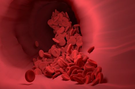Descoperire cheie asupra modului prin care organismul reglează tensiunea arterială