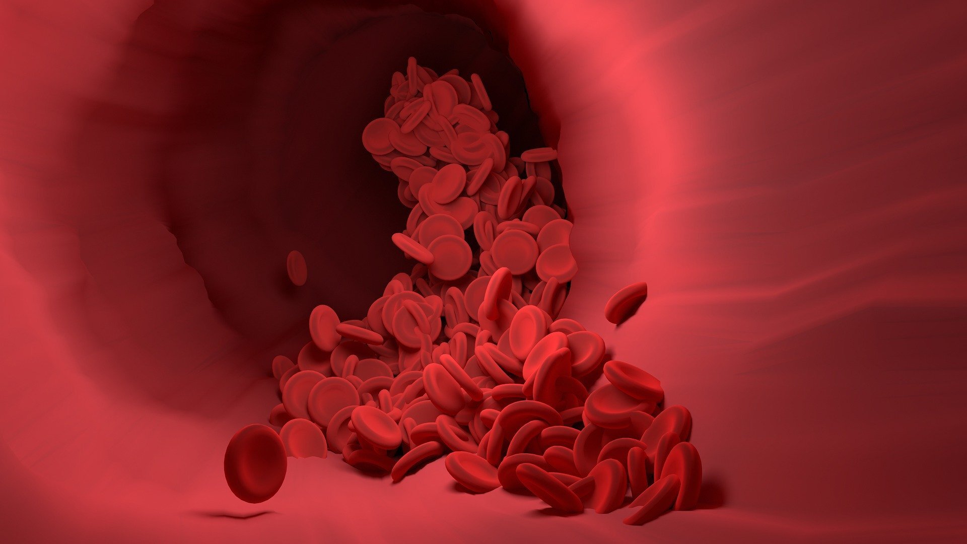 Descoperire cheie asupra modului prin care organismul reglează tensiunea arterială