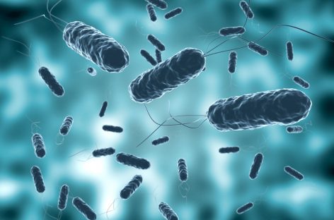 Bacteria care provoacă holeră, detectată într-un rezervor de apă în Israel