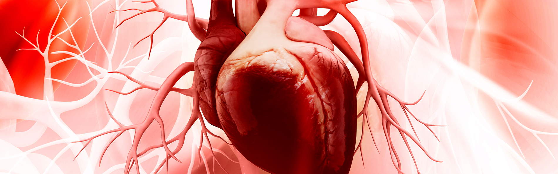 Un dispozitiv pentru afecţiuni cardiace, de la Boston Scientific, autorizat în SUA