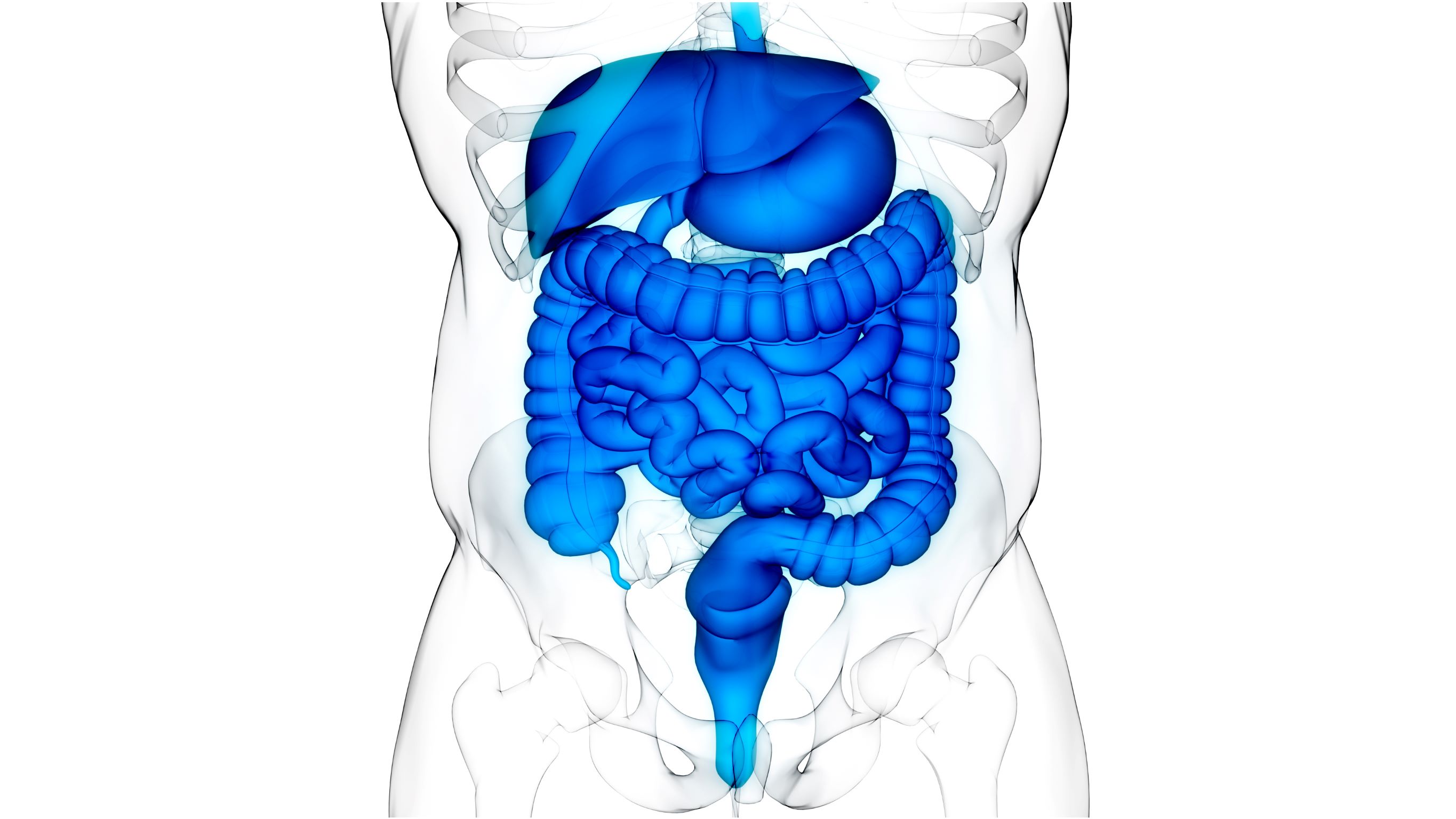 Metaboliţi sintetici ar putea trata bolile inflamatorii intestinale