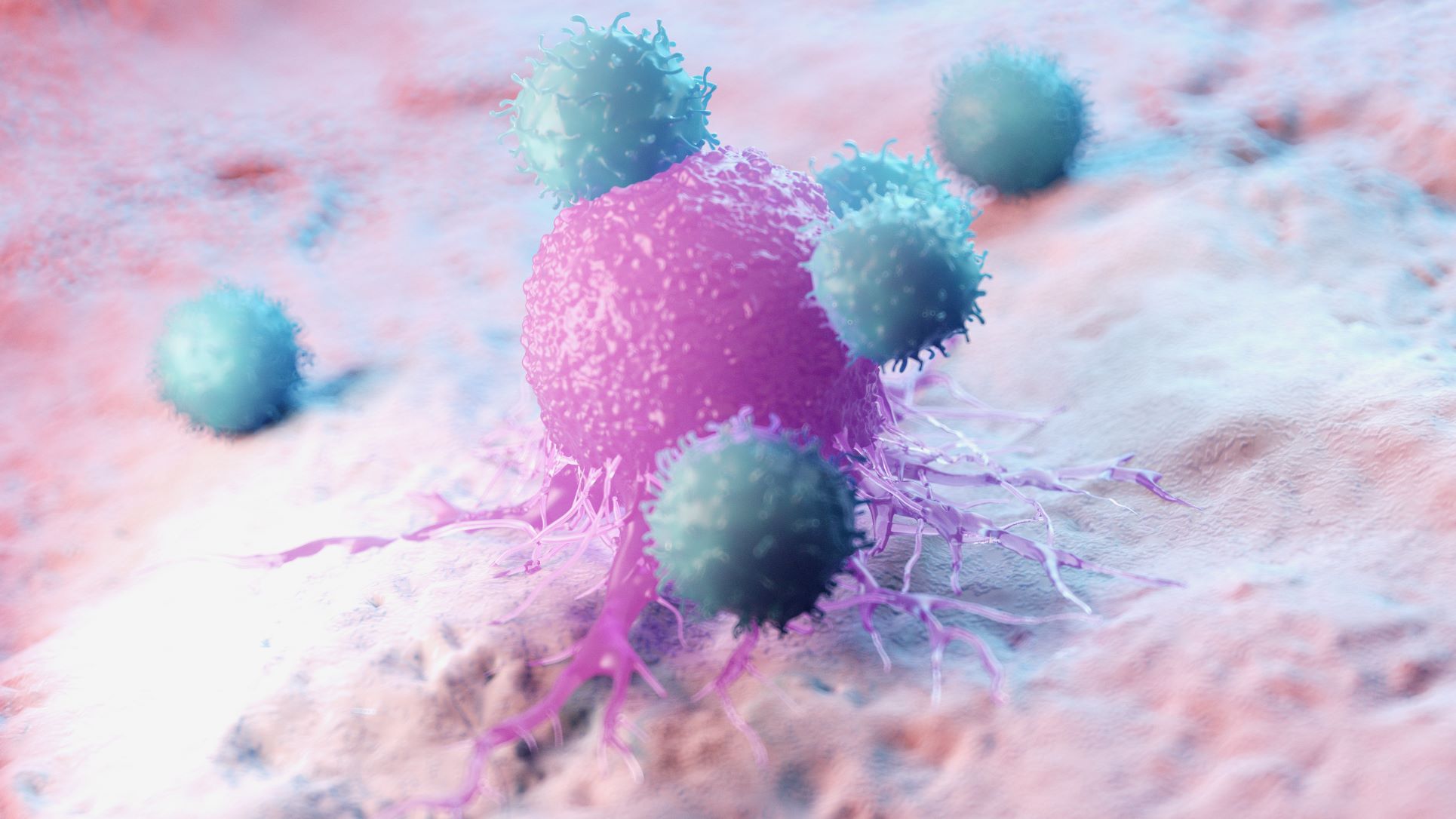 SUA evaluează siguranţa unor terapii CAR-T împotriva cancerului privind un posibil risc de spitalizare şi deces