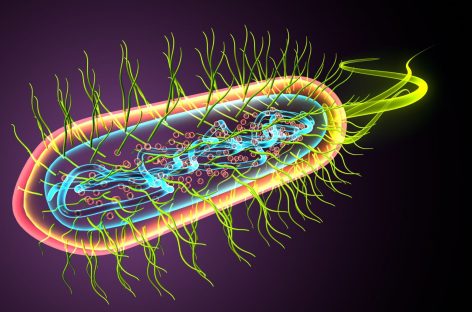 Primul candidat de medicament care vizează microbiomul prin tehnologia CRISPR, creat de cercetători