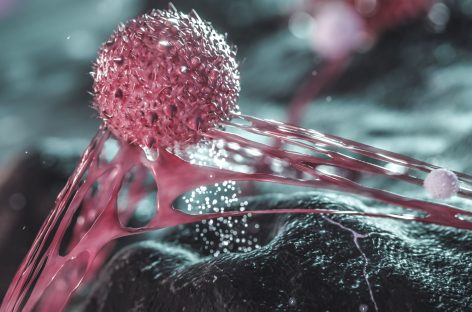 S-a descoperit un nou indiciu despre cum se răspândesc celulele canceroase în organism