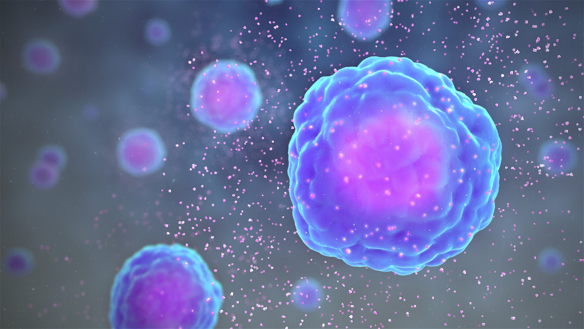 O moleculă a sistemului imunitar pare să fi evoluat pentru a provoca inflamaţie în organism