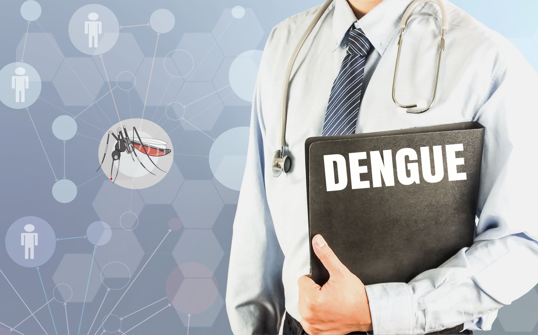 Febra Dengue va deveni o ameninţare majoră în sudul Europei, avertizează un oficial OMS