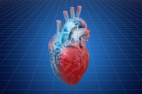 Oamenii de ştiinţă au descoperit o cale prin care să prevină fibroza cardiacă