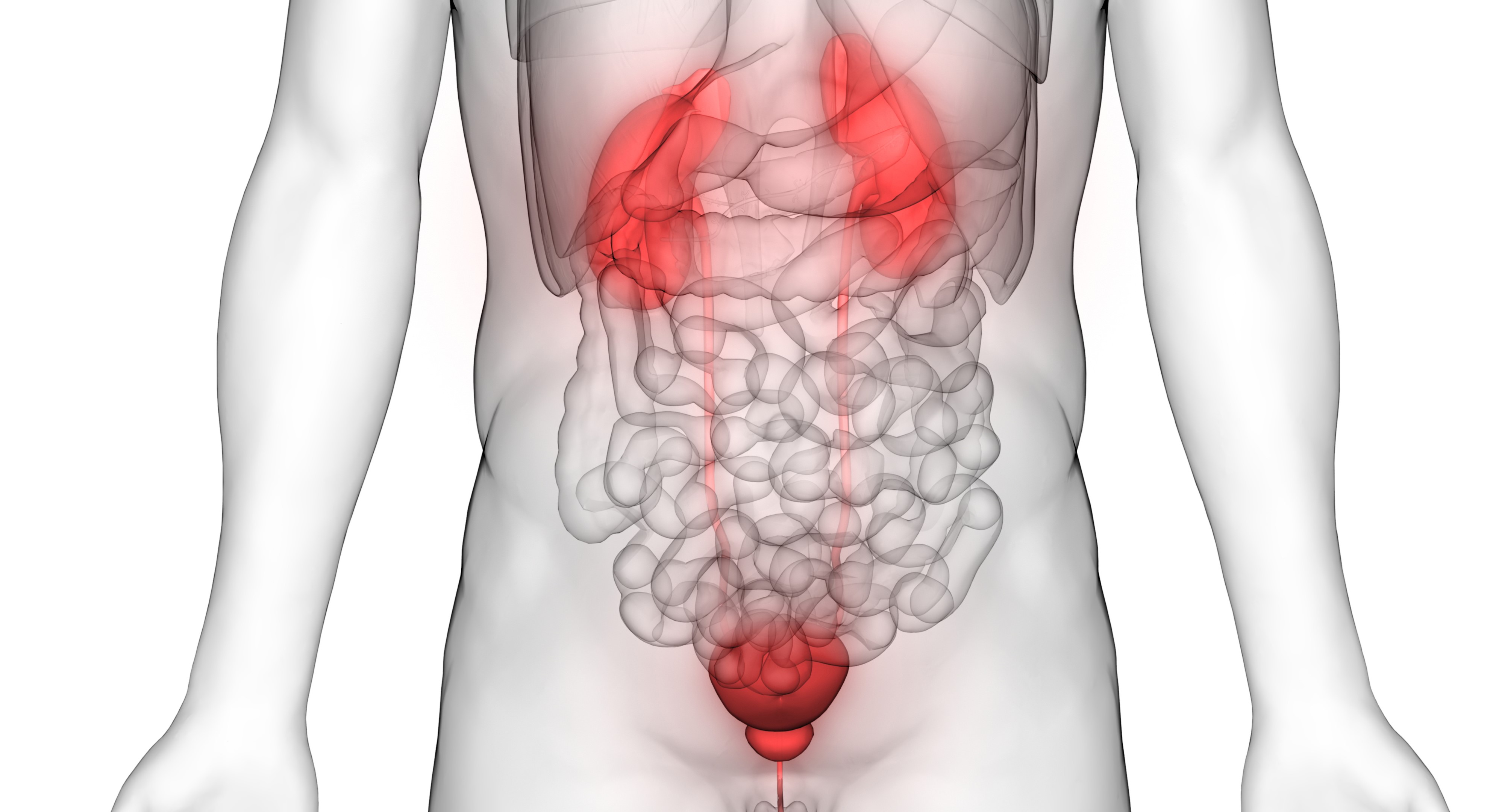 Prima terapie genică pentru cancerul de vezică urinară, aprobată în SUA