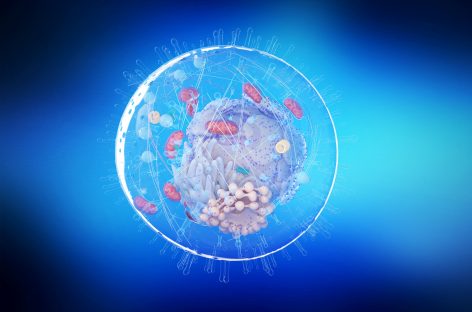 O descoperire recentă ar putea duce la dezvoltarea de noi tratamente eficiente împotriva bolilor virale şi a cancerului