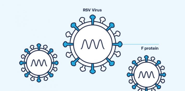 Un nou candidat de vaccin împotriva virusului sinciţial respirator se dovedeşte eficient în prevenirea simptomelor la adulţii în vârstă