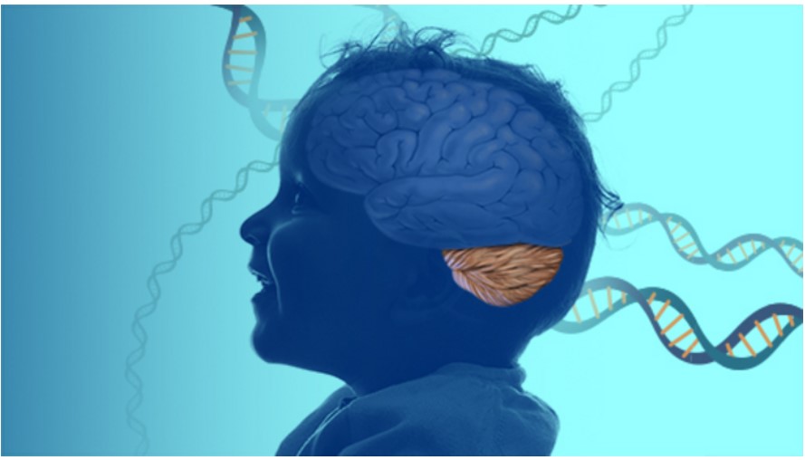 O boală neurologică rară în care este implicat procesul de reciclare celulară, descoperită de cercetătorii NIH