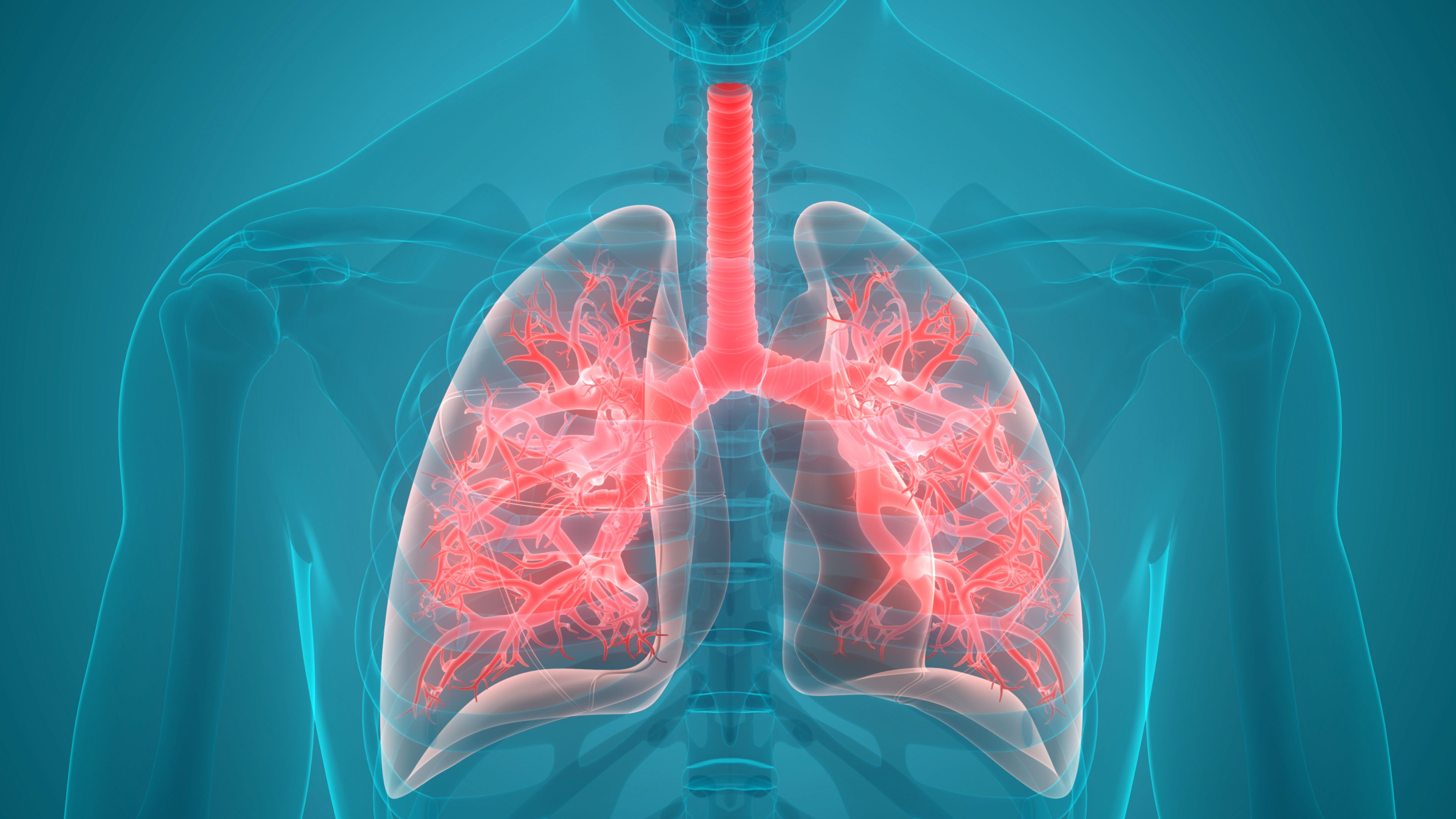 Transplantul de celule pulmonare proprii, posibil tratament pentru o boală respiratorie severă