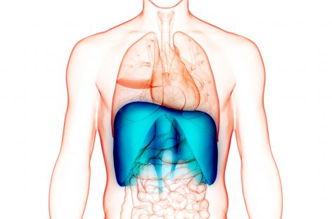 Reuşite în domeniul administrării de medicamente oferă noi posibilităţi pentru tratamentul fibrozei pulmonare