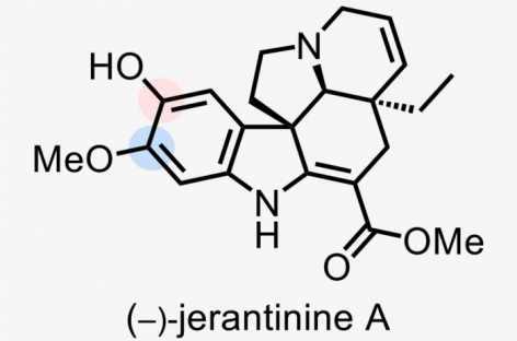Viitoarele tratamente pentru cancer