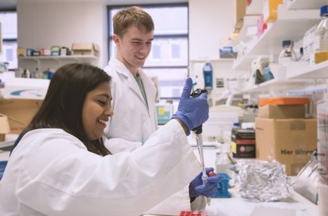 O posibilă abordare terapeutică împotriva unei bacterii „ucigaşe"