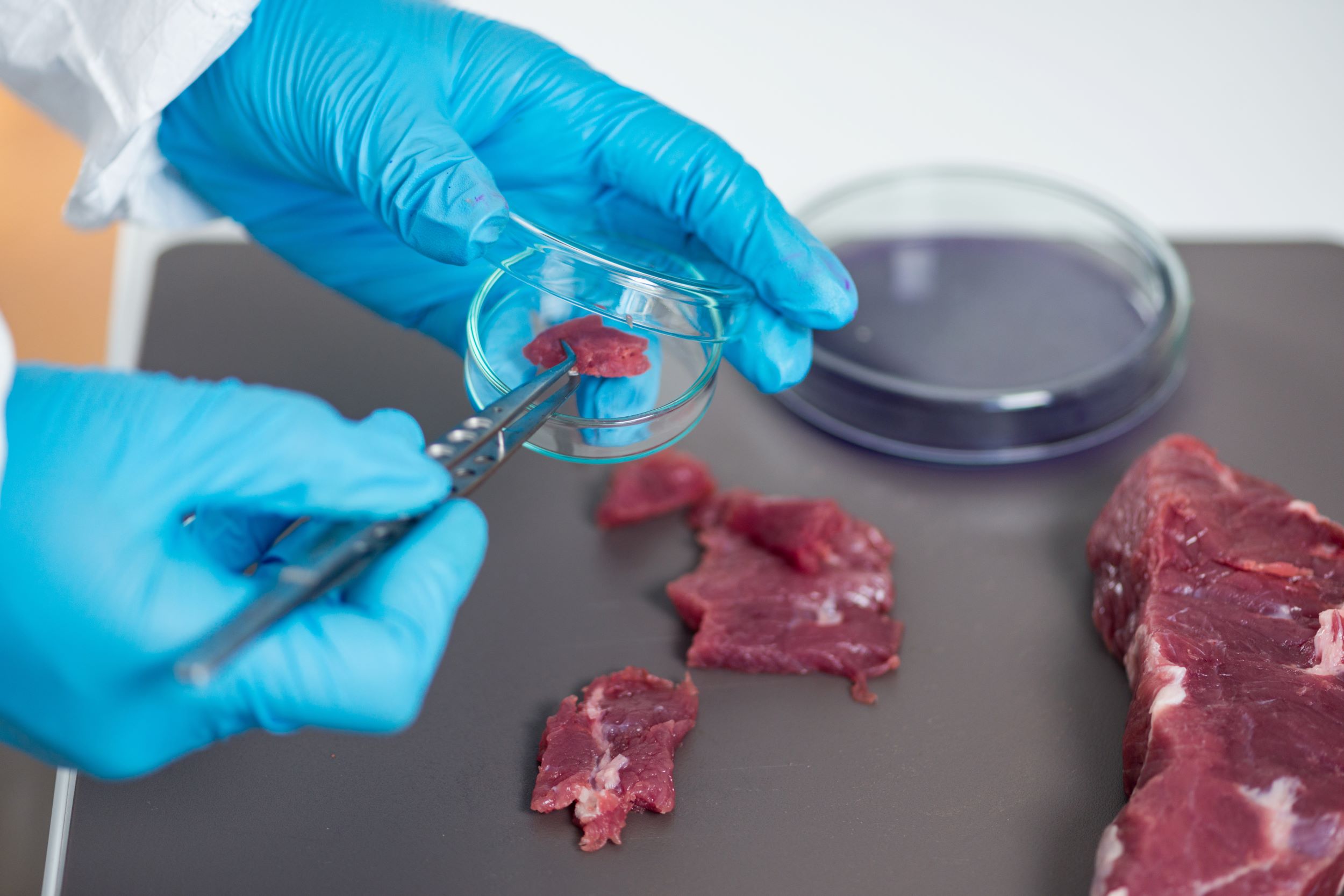 Aproape jumătate dintre produsele din carne din Spania, testate pozitiv pentru superbacterii rezistente la antibiotice