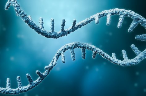 Un studiu dezvăluie noi detalii despre o clasă recent identificată de tulburări de neurodezvoltare