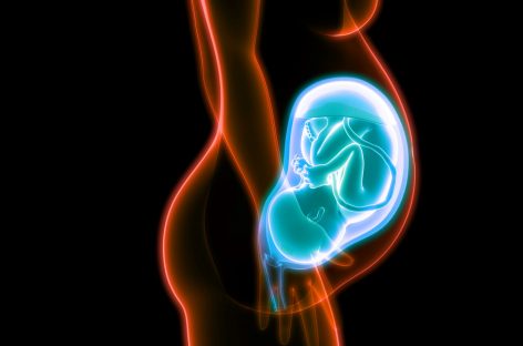 Placenta, rol central în riscul genetic pentru schizofrenie, au descoperit cercetătorii