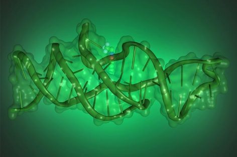 Noi descoperiri în cercetarea genetică: ADN-ul se poate plia în forme complexe pentru a executa noi funcţii