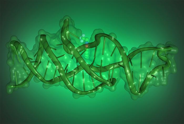 Noi descoperiri în cercetarea genetică: ADN-ul se poate plia în forme complexe pentru a executa noi funcţii