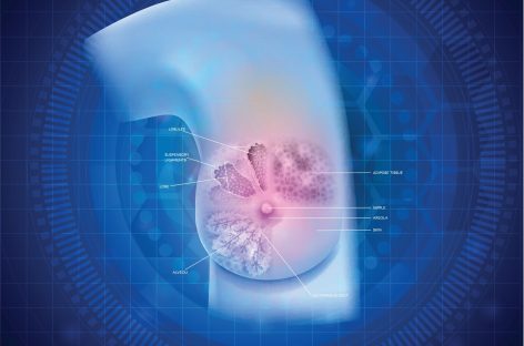 Cel mai mare atlas de celule mamare normale oferă informaţii fără precedent despre biologia sânului