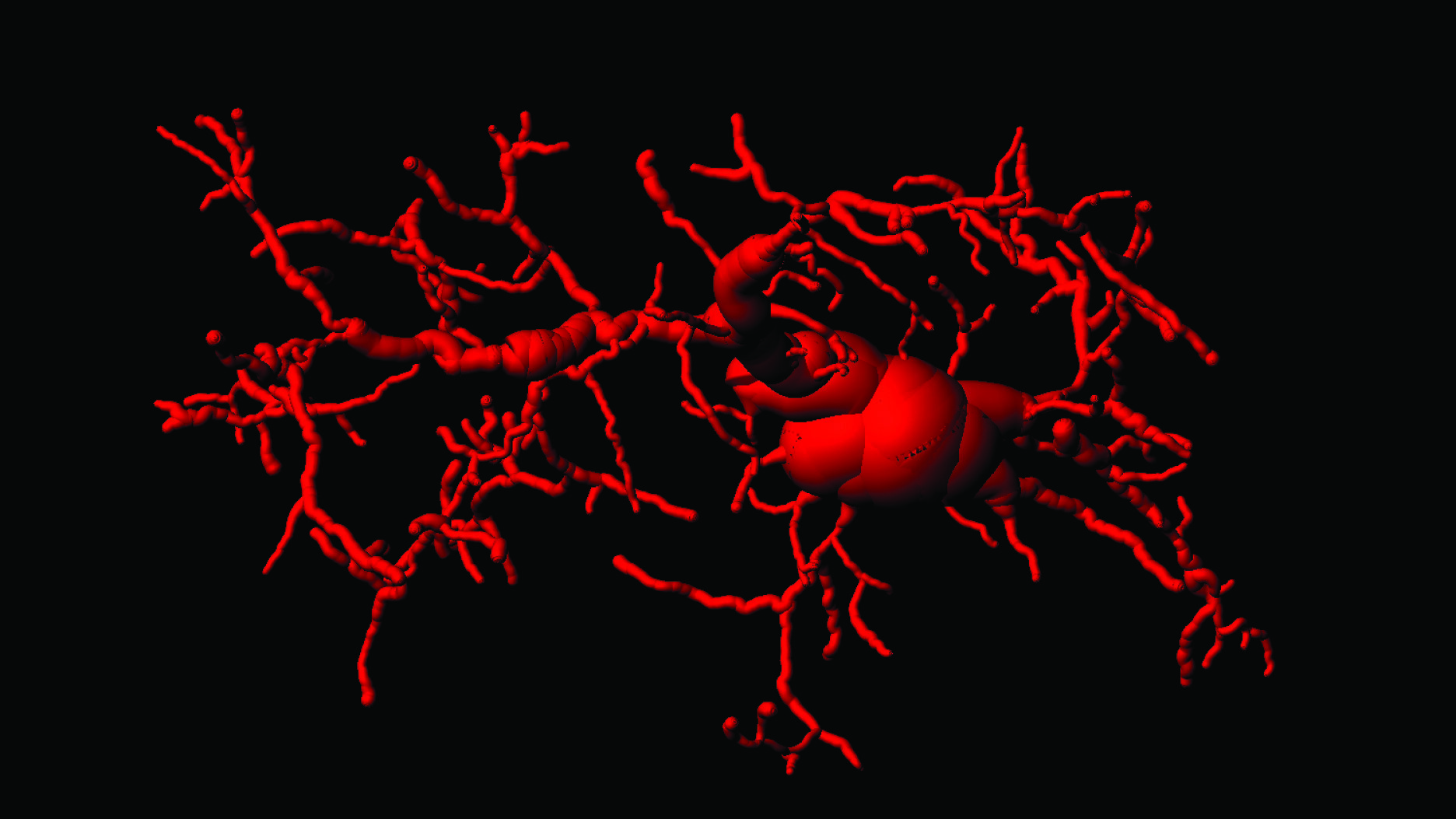 Cum contribuie imunitatea la îmbătrânire şi neurodegenerare