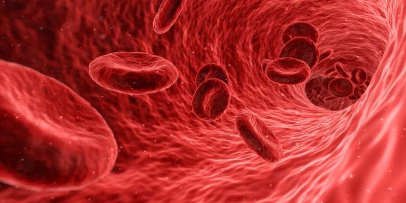 Un tratament oral pentru tulburări grave de sânge îşi atinge obiectivele în testele clinice
