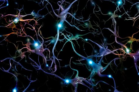 Au fost descoperite celule hibride ciudate în creierul uman