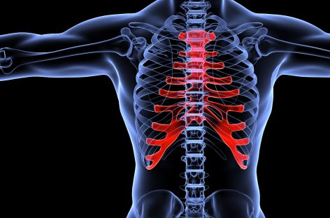 Noi dovezi sugerează că sănătatea oaselor este legată de microbiomul intestinal