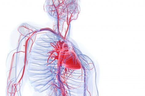 Un instrument inovator poate prezice riscul de boli de inimă pentru următorii 30 de ani