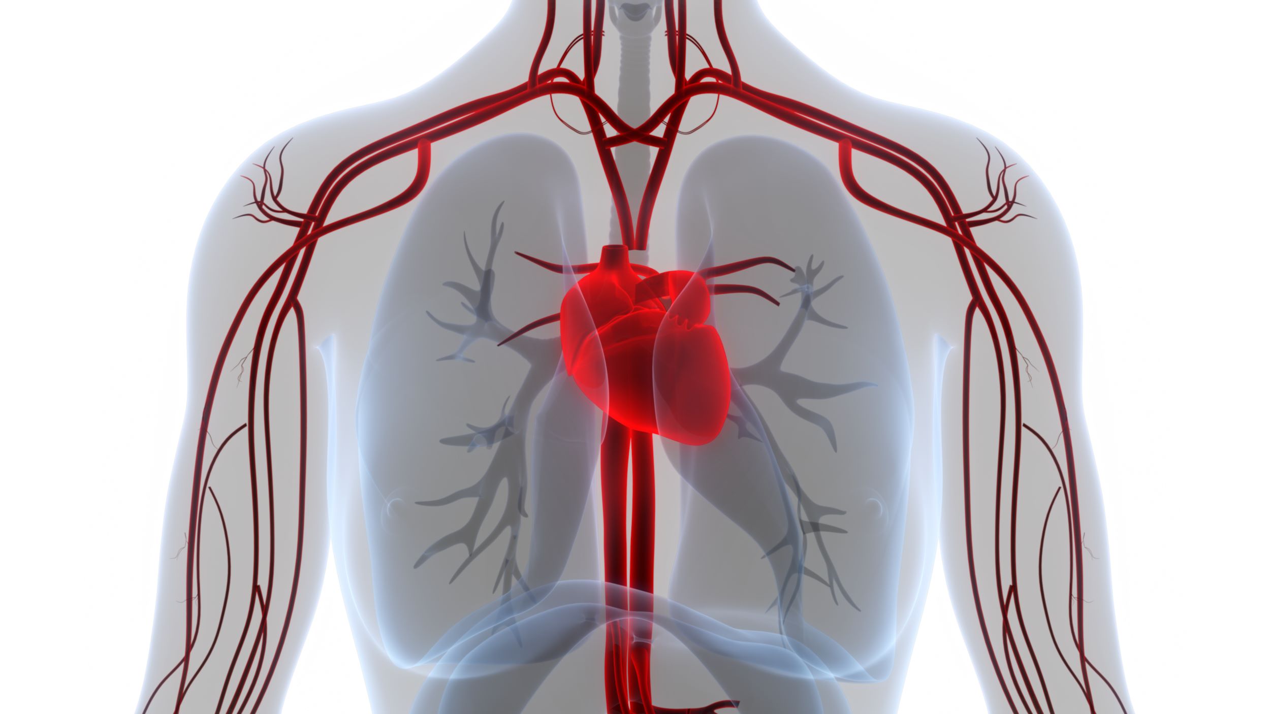 Cercetătorii propun un nou tratament pentru insuficienţa cardiacă, ce vizează activitatea hormonală anormală