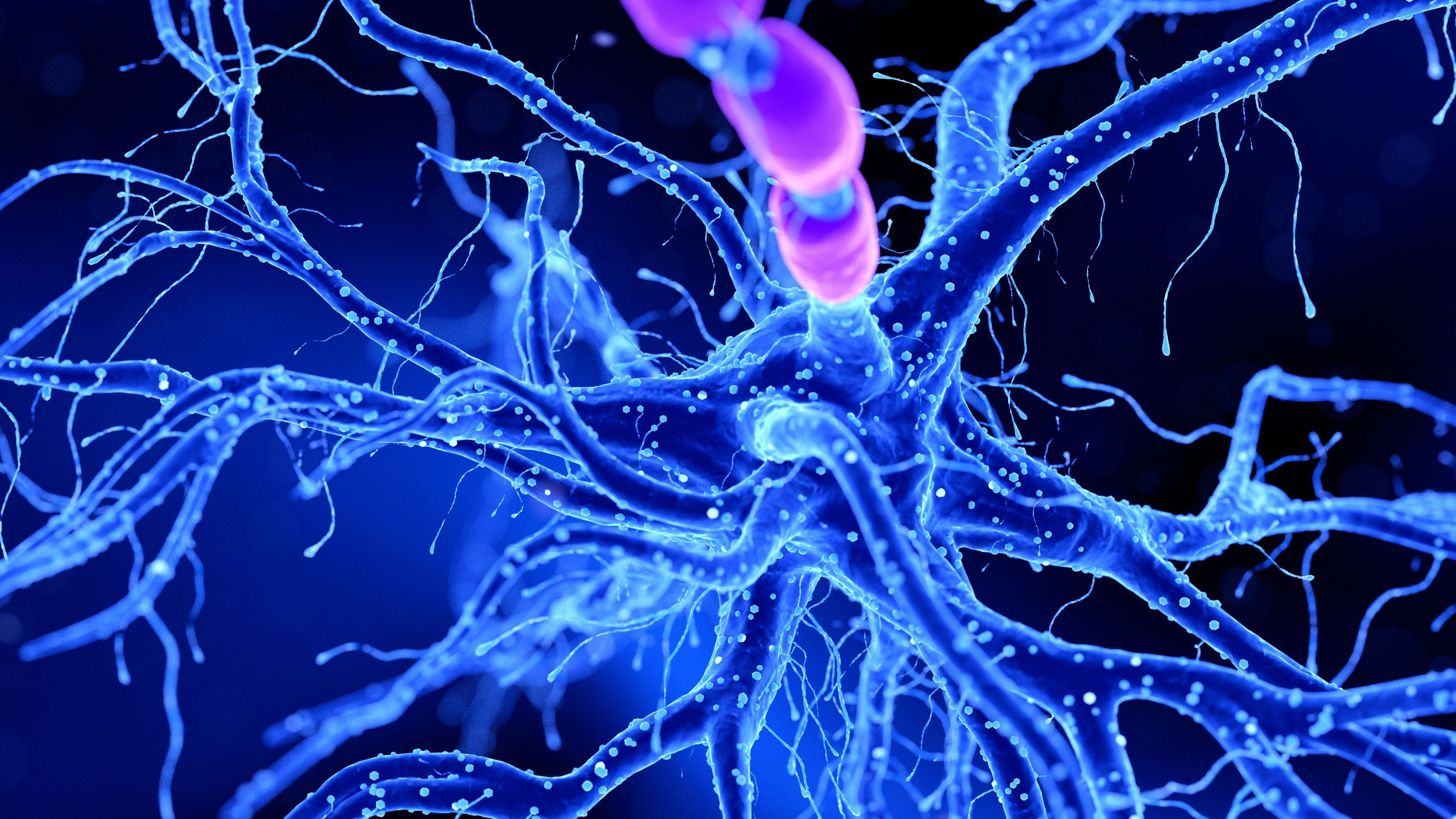 Persoanele cu Alzheimer par să fie mai puţin predispuse să dezvolte anumite tipuri de cancer. O posibilă explicaţie, identificată de cercetători