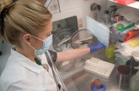 Un nou studiu face lumină asupra legăturii dintre microbiom şi pietrele la rinichi